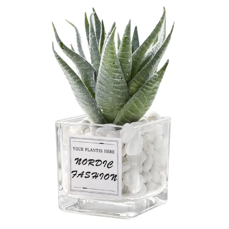 Simulation Green Plant Small Potted Office Desktop