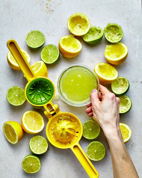 Juicemax Citrus Press - Joseph Joseph