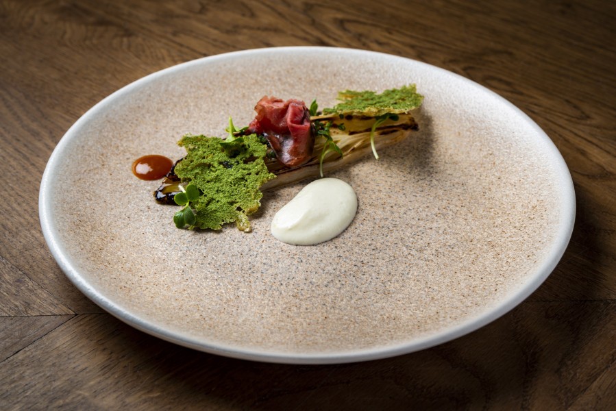 Luca Salmon Plate 210mm  - Bonna