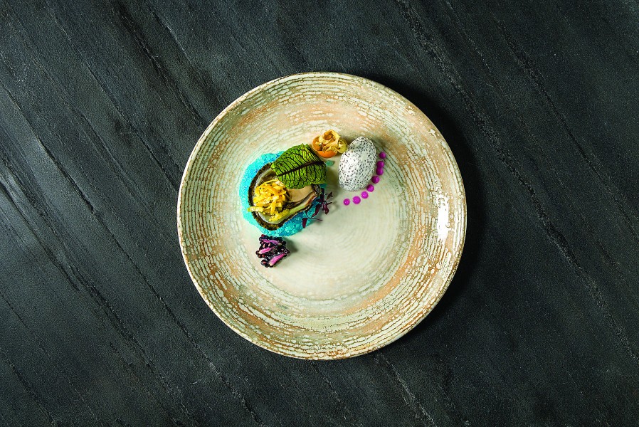 Patera Plate Coupe 210 mm  - Bonna