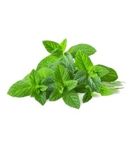 HERB MINT (PER KG) - [PRODUCE]